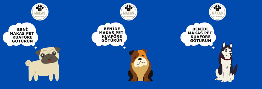 Acıbadem Pet Kuaför